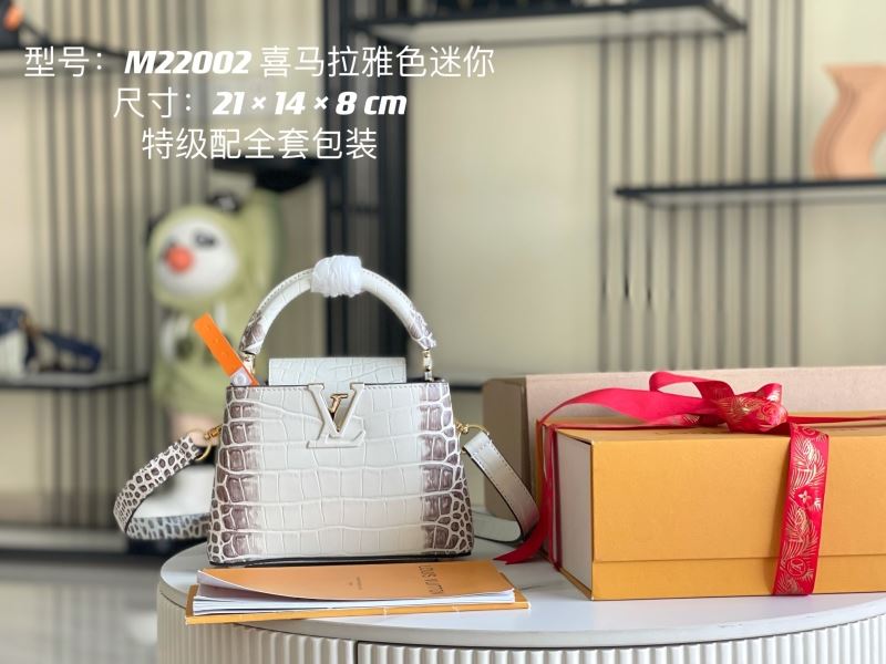 Louis Vuitton Top Handle Bags